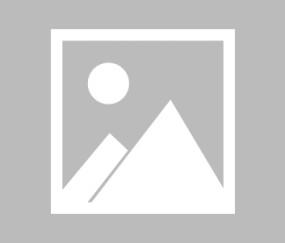 利物浦球迷举旗支持球队阵容-实时比分查询